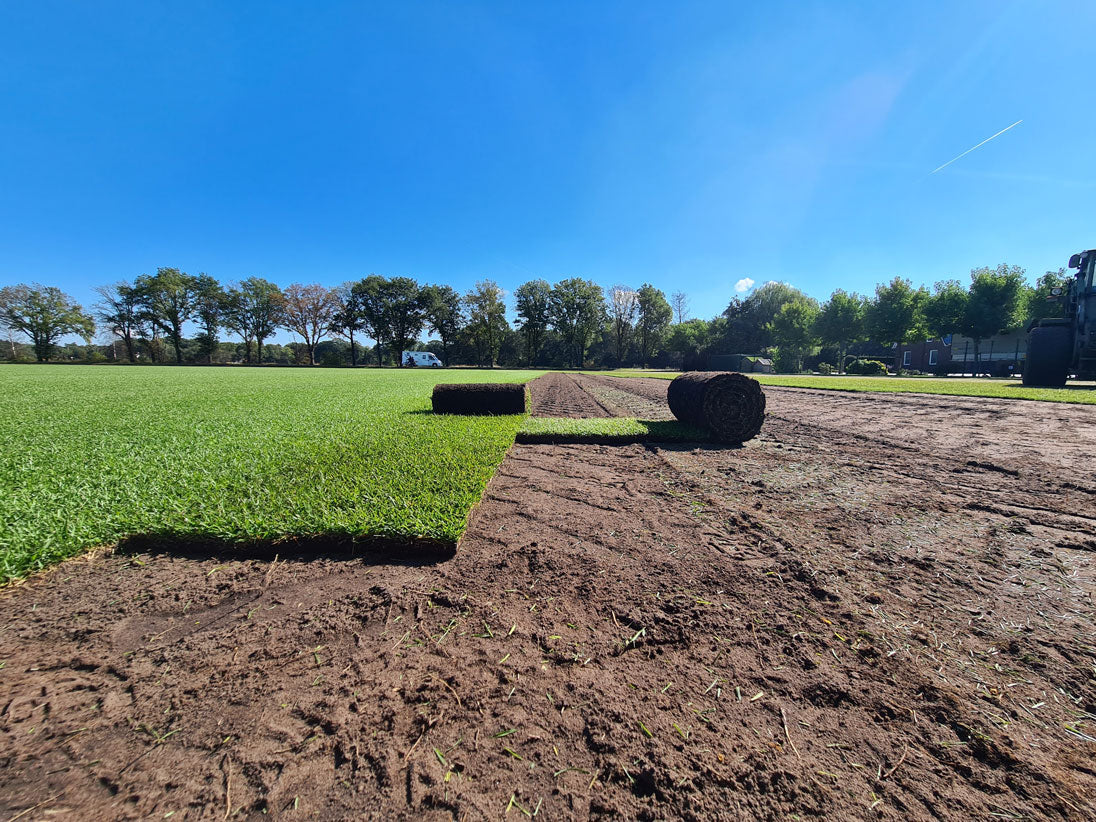 Rollrasen auf dem Erntefeld