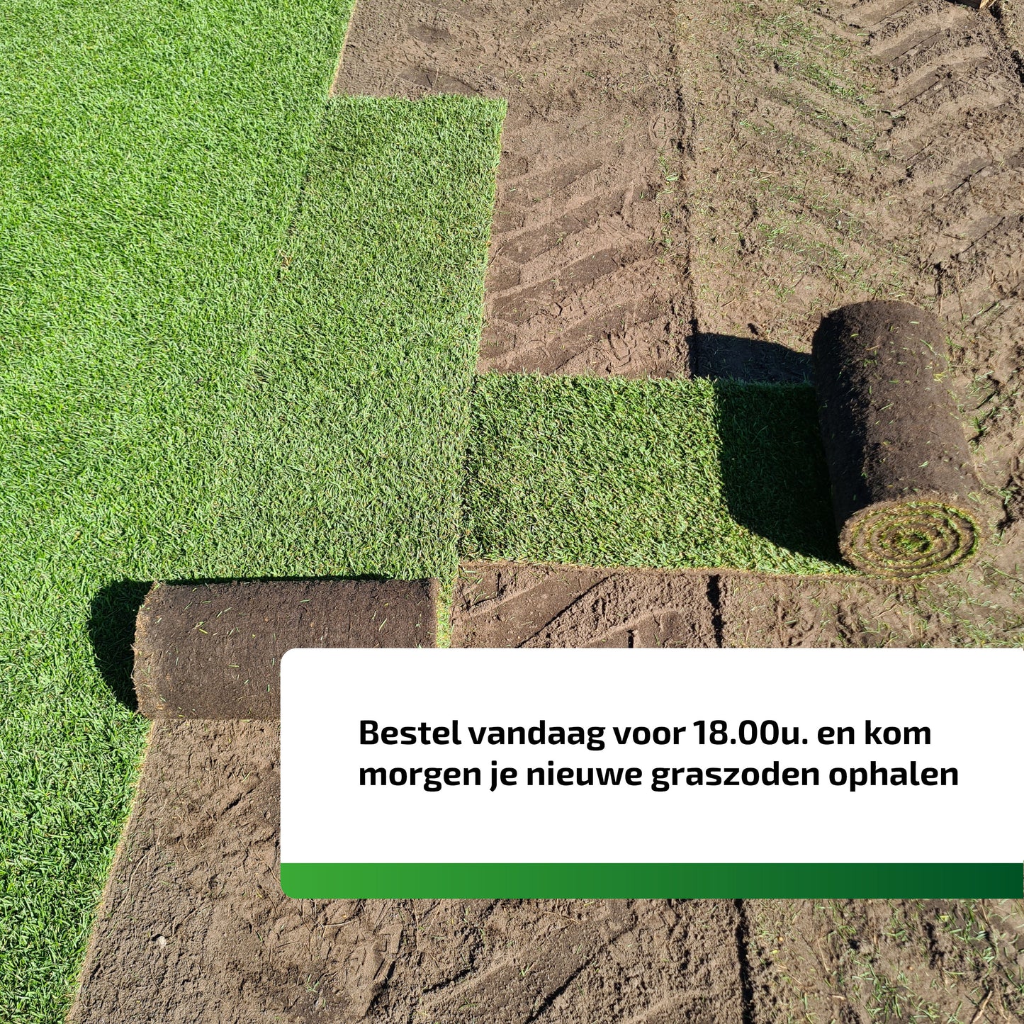 Premium sport- en speelgras